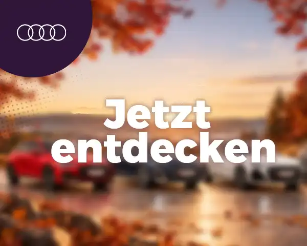 Audi Gebrauchtwagen Plus Wochen